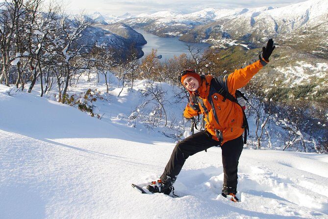 Snowshoeing - Winter Day Trip in Bodo, Northern Norway - Key Points