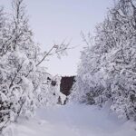 Snowshoeing With A View - Key Points