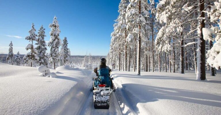 SnowSurge: Adult Snowmobiling Adventure - Who should consider this tour?