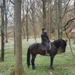 Söderåsens Nationalpark: 2,5h horse back ride - The Experience on the Ground