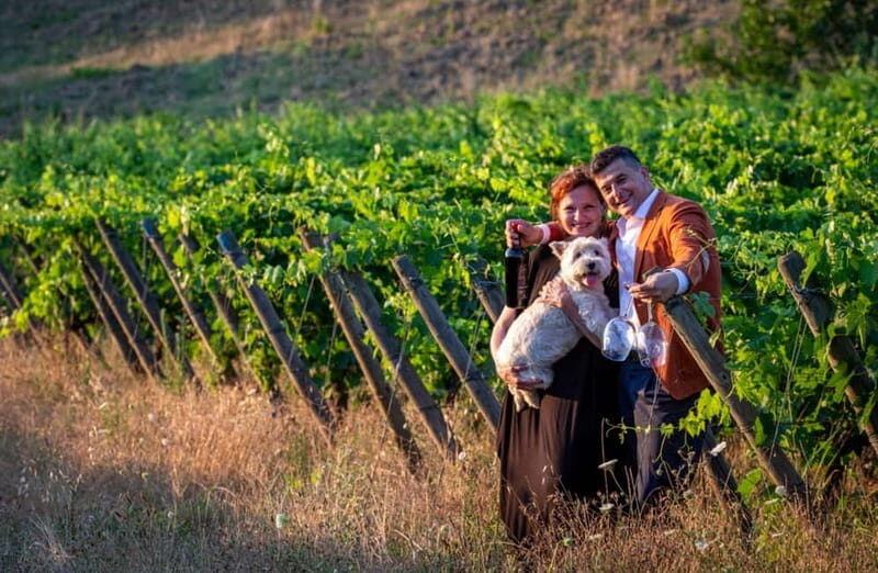 Soiana: Vineyard & Cellar Tour with Wine Tasting near Pisa - Who Would Love This Tour?