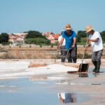 Solana Nin Salt Fields Audio Guide Tour - The Practical Side: Logistics and Experience