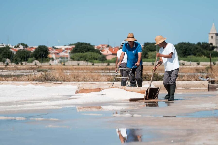 Solana Nin Salt Fields Audio Guide Tour - The Practical Side: Logistics and Experience