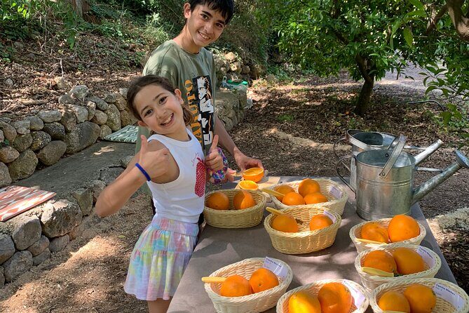 Soller Valley Private Tour and Walking in Orange Paradise - A Deep Dive into the Soller Valley Private Tour