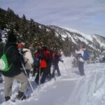 Solsonès: Guided Snowshoe Hike in Port del Comte - The Scenic Highlights and Why They Matter