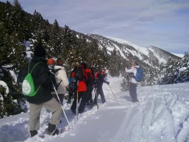 Solsonès: Guided Snowshoe Hike in Port del Comte - The Scenic Highlights and Why They Matter