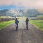 Sonoma Valley Pedal Assist Bike Tour with Lunch - Is It Worth the Price?