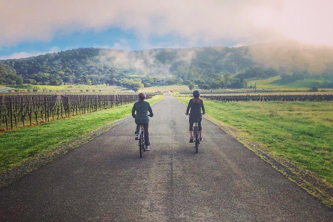 Sonoma Valley Pedal Assist Bike Tour with Lunch - Is It Worth the Price?