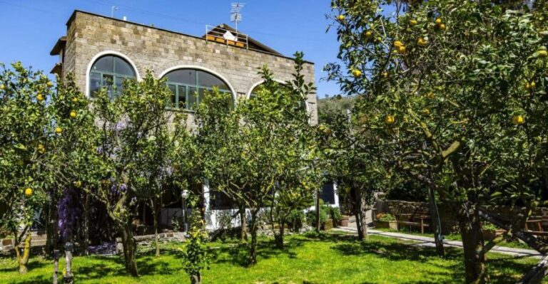 Sorrento: Coast E-Bike Tour with Limoncello Tasting - The Itinerary and What You’ll Experience