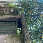 Sorrento: From the Hills to the Sea Hiking Tour - Final Thoughts: Who Will Appreciate This Tour?