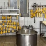 Sorrento Gourmet: Oil, Pizza, Mozzarella, and Limoncello with Tasting - Who Will Enjoy This Tour?