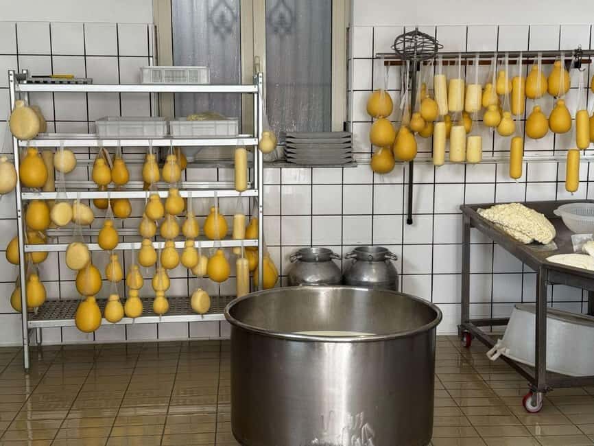 Sorrento Gourmet: Oil, Pizza, Mozzarella, and Limoncello with Tasting - Who Will Enjoy This Tour?