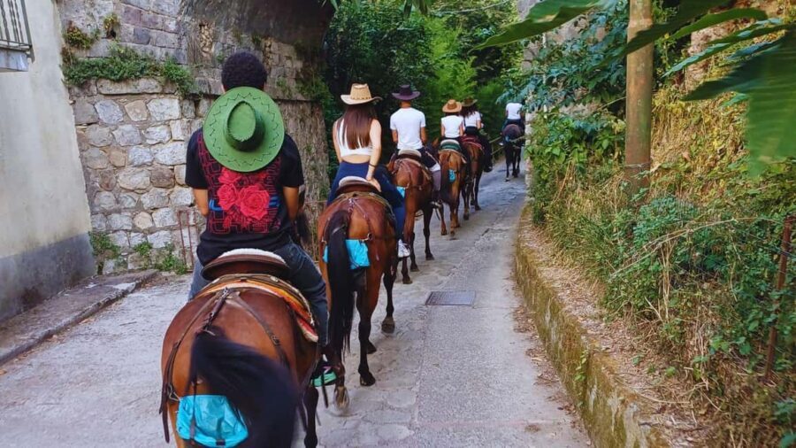 Sorrento: Horseback Riding Tour with Guide - What We Loved About the Tour