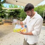 Sorrento: Lemon Tour & Limoncello Spritz Workshop - The Art of Limoncello: Live Demonstration