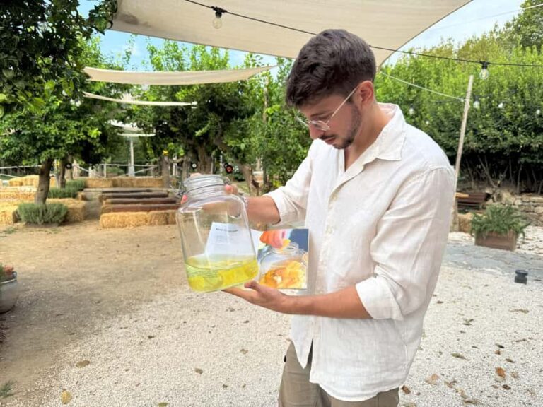 Sorrento: Lemon Tour & Limoncello Spritz Workshop - The Art of Limoncello: Live Demonstration