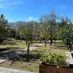 Sorrento: Mozzarella experience. Say CHEESE with us! - Who Will Love This Tour?