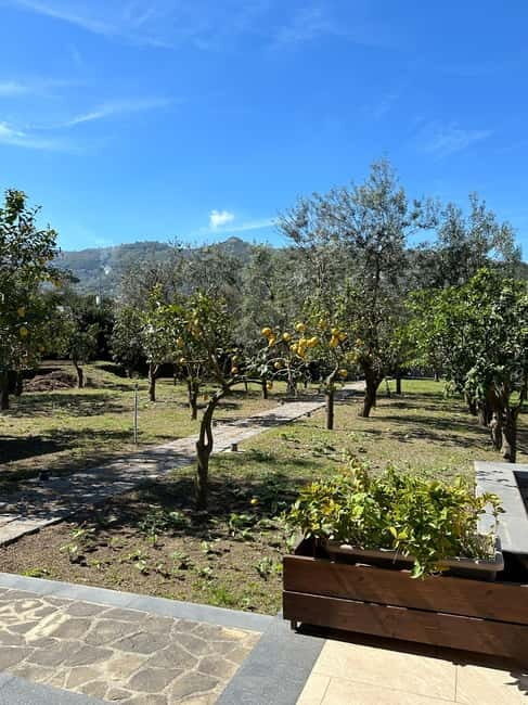 Sorrento: Mozzarella experience. Say CHEESE with us! - Who Will Love This Tour?