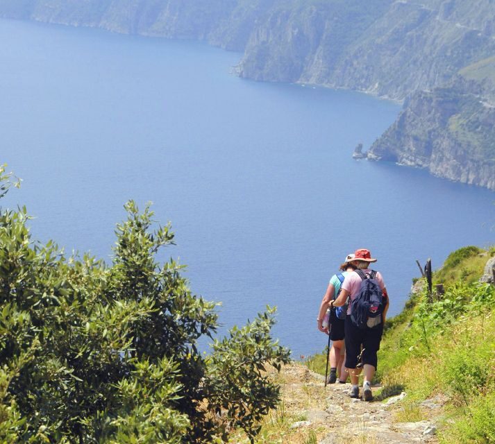 Sorrento: The Path of the Gods Hike - Pricing and Value