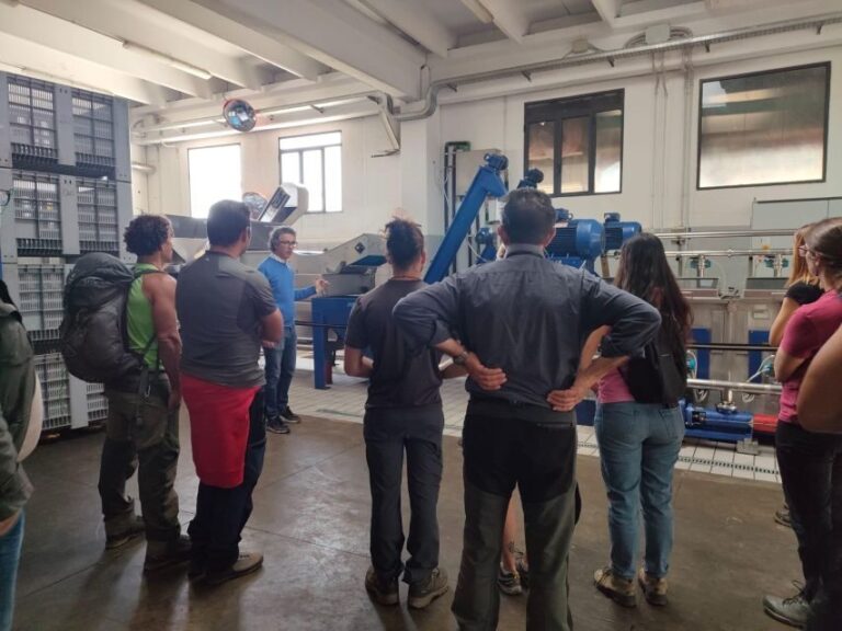 Sortino: Olive Oil tasting with Sicilian Products and Wine - The Value and Practicalities