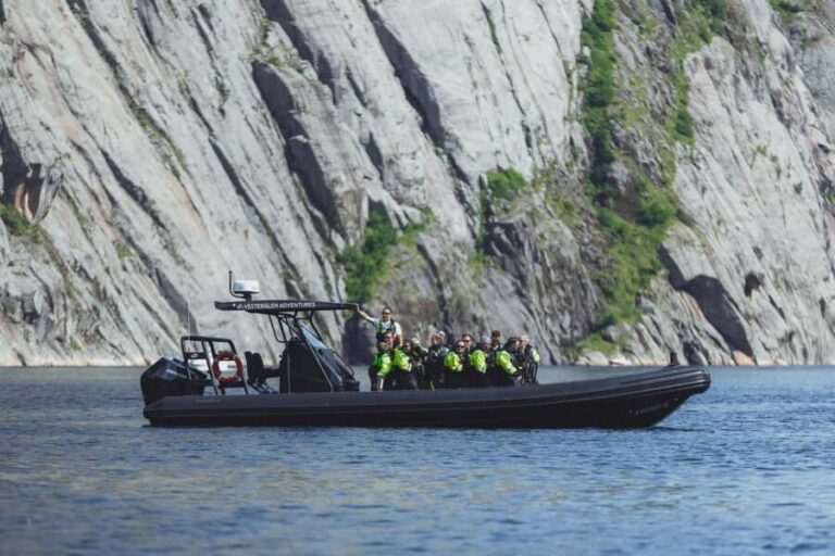 Sortland: Trollfjord RIB Boat Tour - What You Can Expect on the Trip