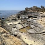 South Coast Private Nature Walking Tour with Transport - Who Would Enjoy This Tour?