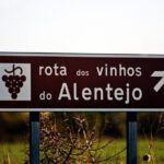 South Portugal Wine Route Private Full Day Tour from Lisbon - FAQ