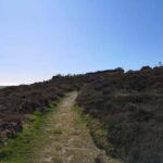 South Stack: Coastal Walking Tour with Café & History - Who Will Love This Tour?