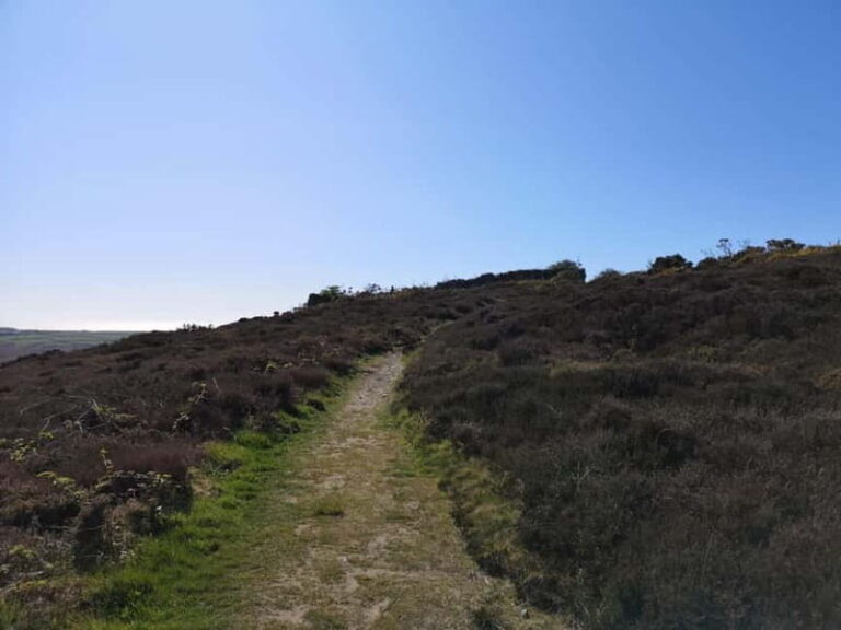 South Stack: Coastal Walking Tour with Café & History - Who Will Love This Tour?