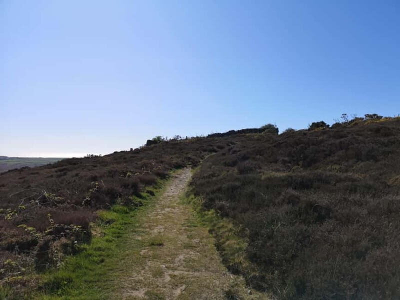 South Stack: Coastal Walking Tour with Café & History - Who Will Love This Tour?