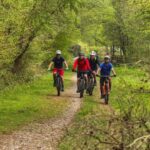 South Wales: Cwmcarn Scenic Drive E-Bike Tour - The Sum Up