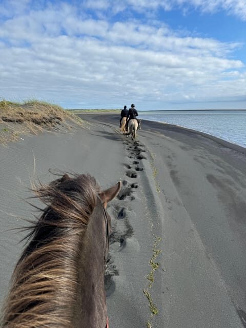 southern Iceland: Black beach riding tour - The Experience from a Traveler’s Perspective