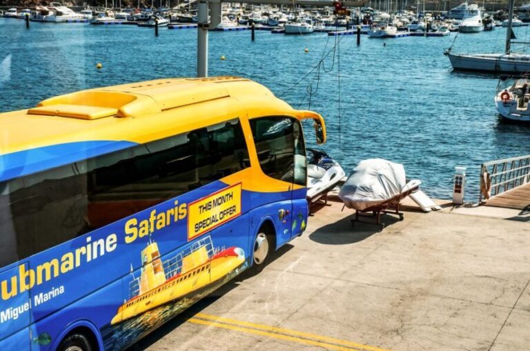 Southern Tenerife: 50-Minute Submarine Dive - Who Will Love This Tour?