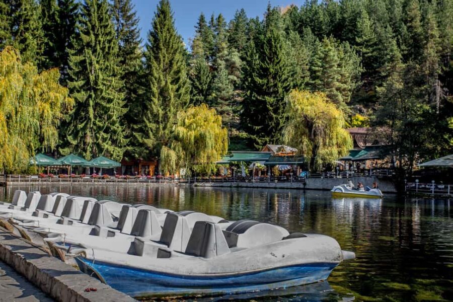 Spa & Culture Tour: Velingrad and Plovdiv Region (9 Days) - Spa & Wellness Days: Deep Relaxation