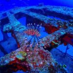 SPECIAL!! 2 Tank Wreck & Drift Reef dives - What’s included and what’s not