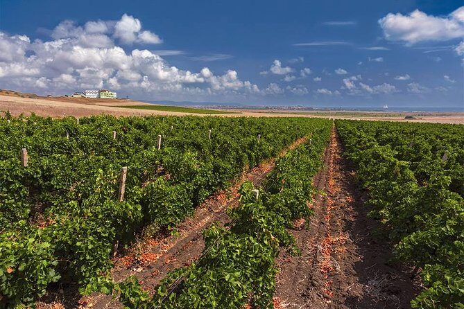 Special History And Wine Tour including Wine Tasting - Who Should Consider This Tour?