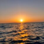 Spectacular Sunset Cruise in Tenerife: A Magical Experience - Is It Worth the Price?