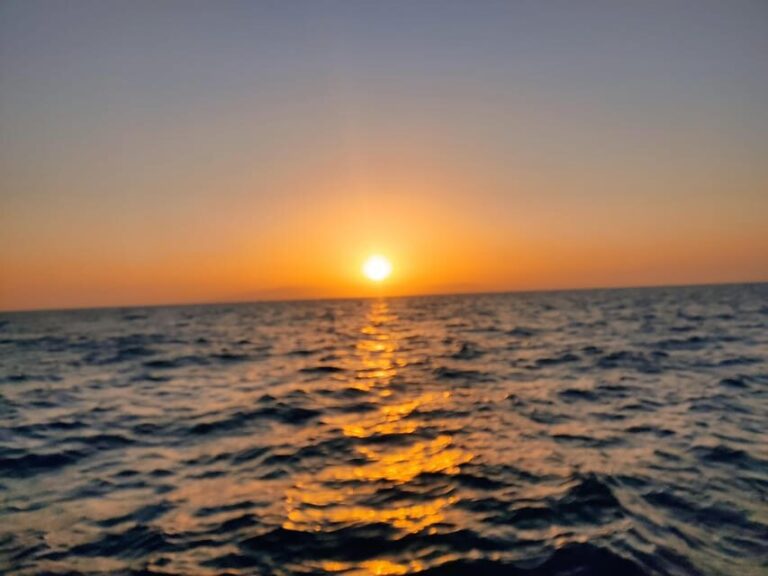 Spectacular Sunset Cruise in Tenerife: A Magical Experience - Is It Worth the Price?