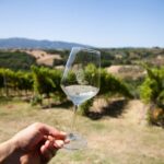 Spello E-Bike Tour with Lunch and Wine Tasting! - FAQs