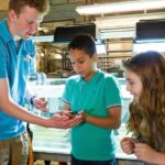 Speyer: SEA LIFE Behind the Scenes Tour - Pricing and Value