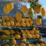 Splendid Hotel la Torre to Palermo airport or vice versa, Private Transfer - FAQ