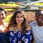 Splendours of Niagara Falls Luxury Small Group Tour from Toronto - What Travelers Are Saying