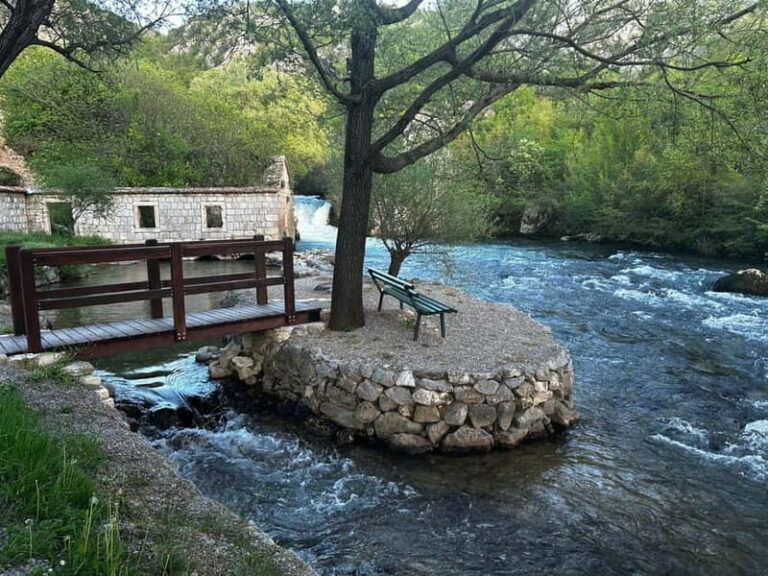 Split: ATV Quad Tour with waterfall swim - The Experience: Nature, Fun, and a Splash