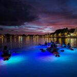 Split: Illuminated Evening Guided Kayaking Tour - The Experience in Detail