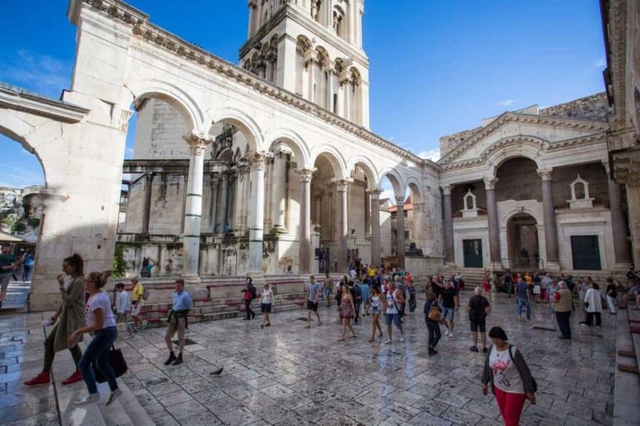 Split, Klis Fortress & Stella Croatica Olive Oil Tour - Moving on to Stella Croatica: Olive Oil and Nature