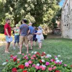 Split: Private Roman History & Market Tour - Inside the Colossal Palace