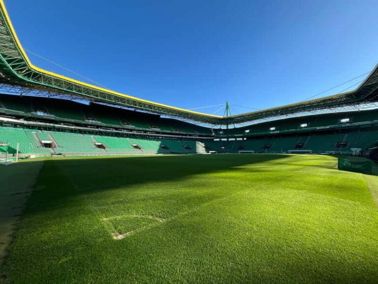 Sporting Clube de Portugal - Stadium Tour - What to Expect from the Sporting Clube de Portugal Stadium Tour