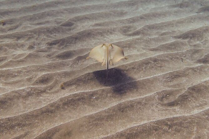 SSI Open Water, South Tenerife - The Itinerary and What to Expect