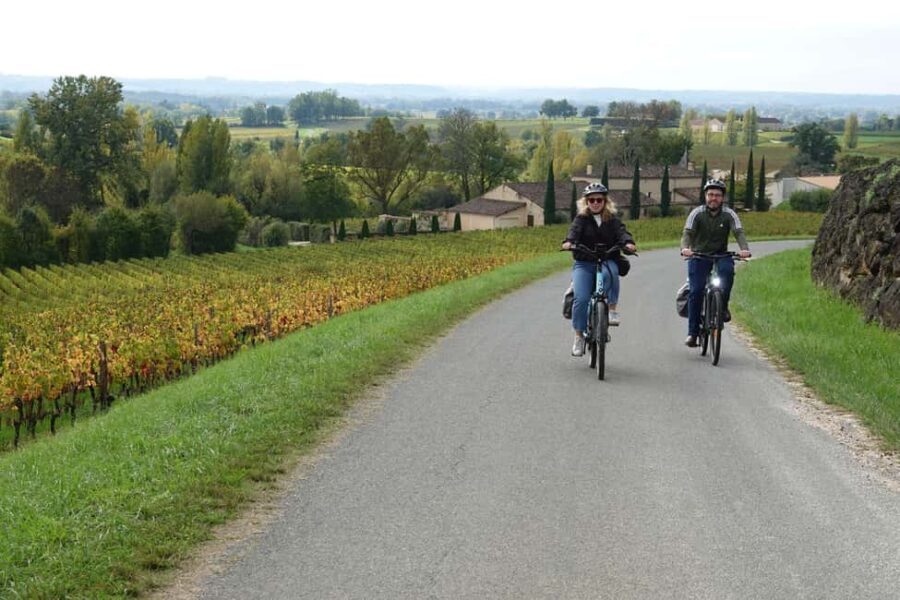 St. Emilion: Half Day E-Bike & Wine Tour with Wine & Cheese - Visiting the Vineyards and Learning the Craft