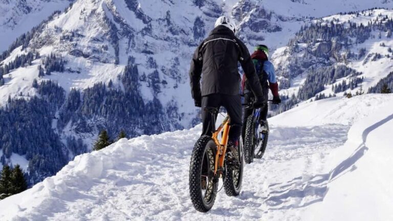 St. Moritz Valley Winter E-Bike Tour with Guide - The Itinerary: What to Expect