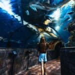 St Paul's Bay: Malta National Aquarium Entry Ticket - Who Will Love This?